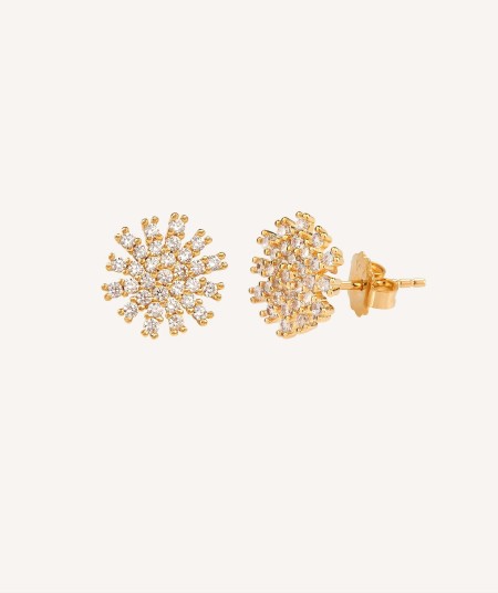 Earrings Star Zirconias