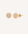 Earrings Zirconia