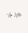 Earrings Asimetric Star