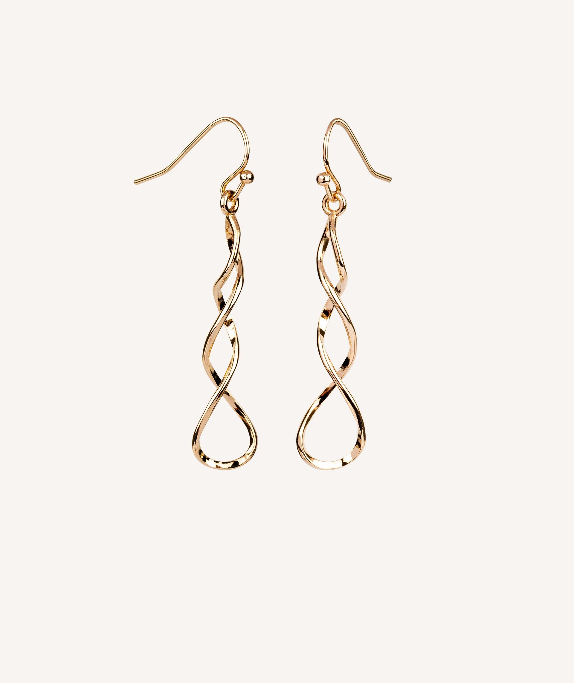 Earrings Long Circles