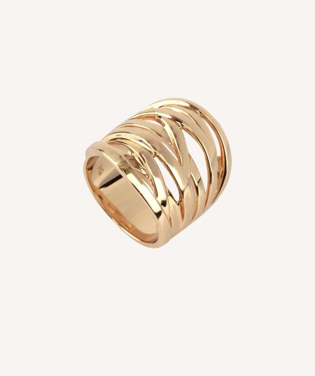 Anillo diez tiras