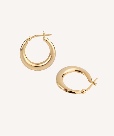 Earrings Oval Hoop