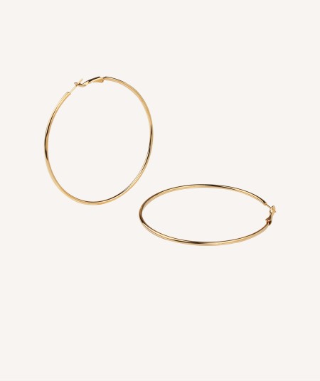 Earrings Hoop