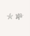 Earrings Star Sea