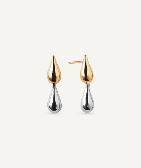 Earrings Drop Bicolor