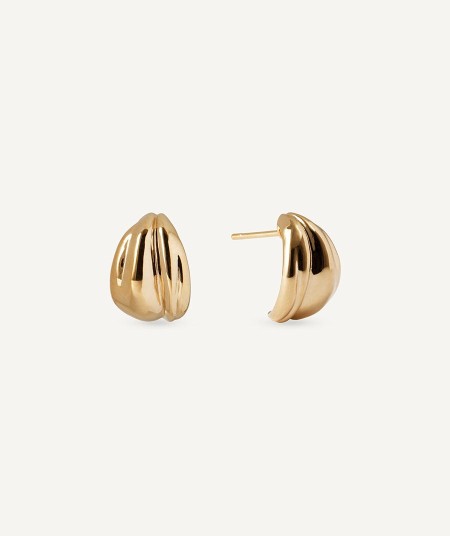 Earrings Curva