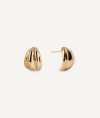 Earrings Curva