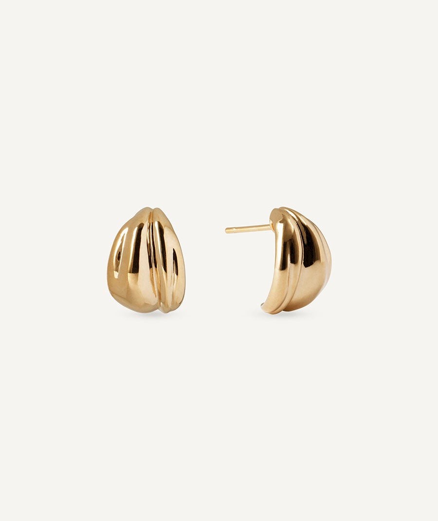 Earrings Curva