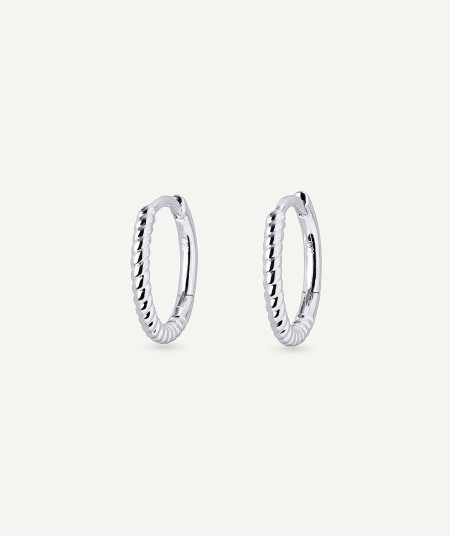 Earrings Hoop