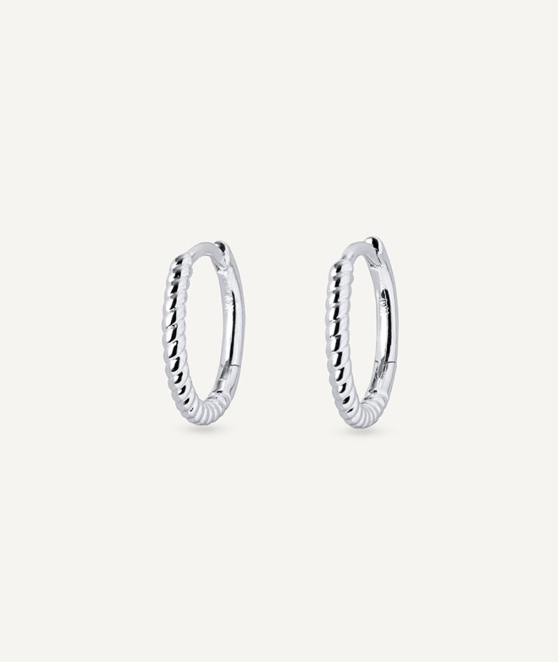 Earrings Hoop