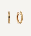 Gold mini hoop earrings